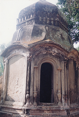 Bhabanipur Temple8